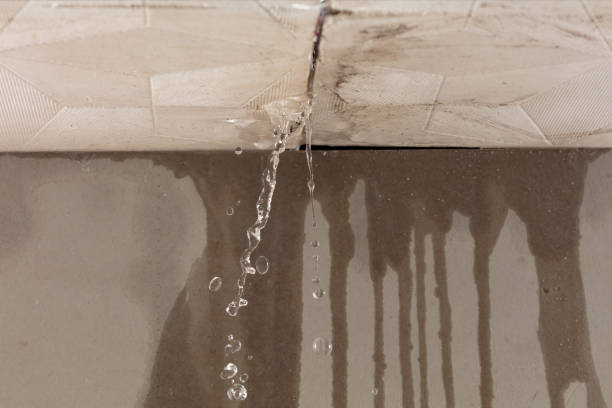 Professional Structural Drying technician working in Lakeland, MI